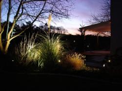 Spolehlivé a úsporné 12V zahradní osvětlení pro bezpečné osvětlení zahrad