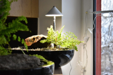 Moderní interiérová minizahrada s vodním prvkem a lampičkou pro růst rostlin SUNLiTE 