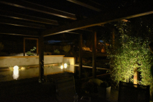 Osvětlení bambusů 