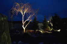 Zahradní osvětlení, zahradní reflektor, osvětlení stromu 