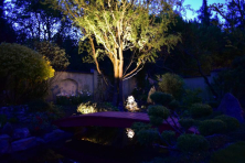 Zahradní osvětlení - podsvícení stromu 